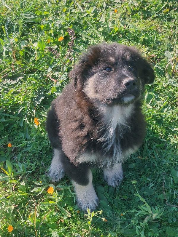 Athos - Mix Pastorino 2 Mesi E Mezzo